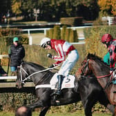 Velká Pardubická