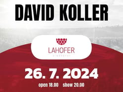 David Koller (Hudba na vinicích)