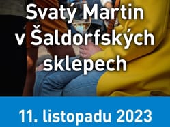 Svatý Martin v Šaldorfských sklepech