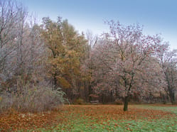 Hostivařský lesopark na podzim