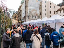 Svatomartinský košt v Plzni