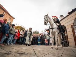 Svatomartinské trhy Poděbrady