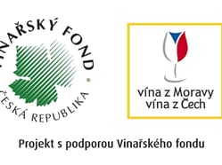 Workshop s národní sommelierkou – Velkopavlovicko & šumivá a perlivá vína