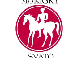 Svatomartinský košt 2024