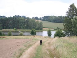 Hamry nad Sázavou, rybník Dívka