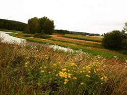 Hamry nad Sázavou, rybník Dívka