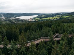 Stezka korunami stromů Lipno