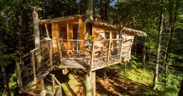 Treehouse na Babím lomě uprostřed lesa