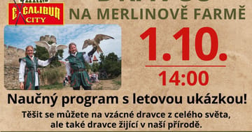 Přehlídka dravců v Merlinově farmě