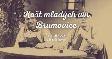 Košt mladých vín Brumovice