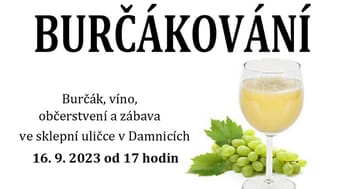 Burčákování ve sklepní uličce v Damnicích