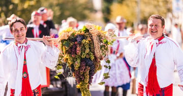 Pálavské vinobraní 2024