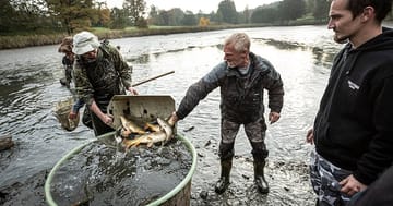 Výlov rybníků: Za rybami můžete vyrazit už tento víkend