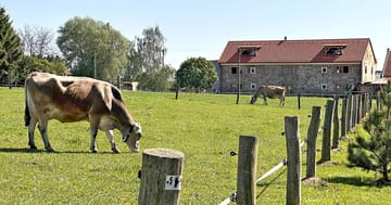 Útulné apartmány na farmě v Posázaví i se snídaní