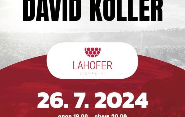 David Koller (Hudba na vinicích)