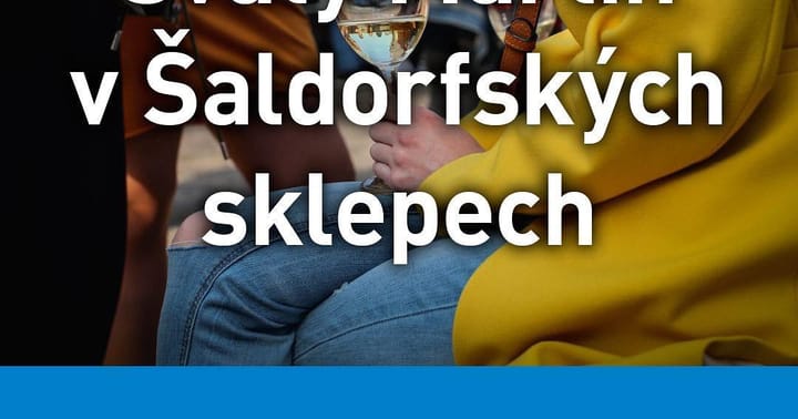 Svatý Martin v Šaldorfských sklepech