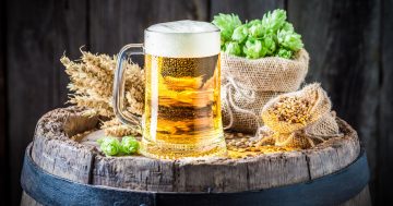 Rožnovské pivní lázně: Unikátní spojení starověké moudrosti a moderní wellness péče