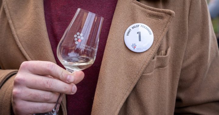 Koštování mladých vín – Podzimní otevřené sklepy ve Chvalovicích
