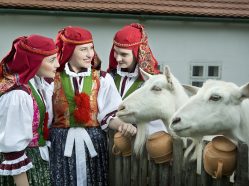 XXI. Slovácké slavnosti vína a otevřených památek