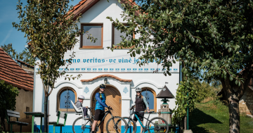 Krajem vína – Tour de burčák po vinařských stezkách Kyjovska