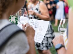 Letní Víno z blízka: MEDITRINA – vína vybraná ženami