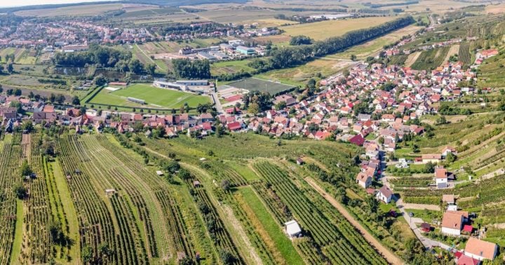 Burčákový pochod Mutěnice 2024: Putování slováckým vinohradem