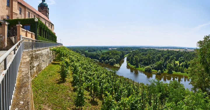 Vyhlášení výsledků Národní soutěže vín vinařské oblasti Čechy