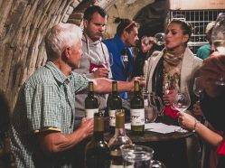 Letní festival vína Němčičky – otevřené sklepy