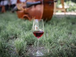 Letní Chvalovice s vínem a hudbou