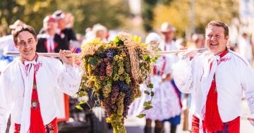 Pálavské vinobraní 2024