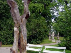 Konopiště, park