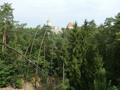 Kokořínské lesy kolem hradu