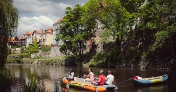 Výlet na Vltavě – Nejkrásnější plavba s jezky a okouzlující přírodou