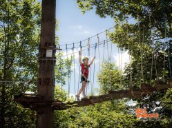 Lesní lanový park - překonejte až 36 překážek