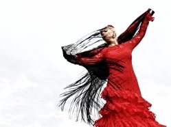 Choreografie Desperado - online kurz tance flamenco