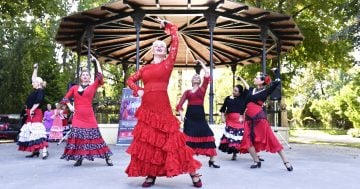 Technika tance flamenca – objevte kouzlo španělského tance od základů