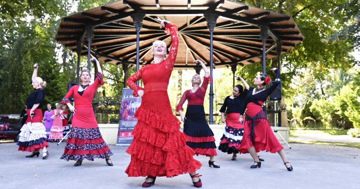 Technika tance flamenca - online kurz