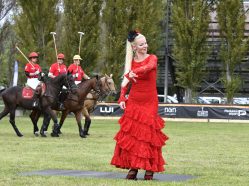 Choreografie Desperado - online kurz tance flamenco