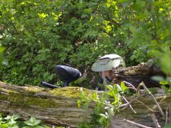 Paintball Roudnice - hra na přírodním hřišti s drinkem zdarma