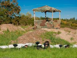 Paintball Masečín - vyberte si z 5-ti hřišť během jedné hry