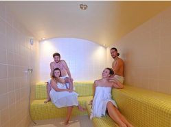 Privátní sauna ve wellness parku Lužánky Brno