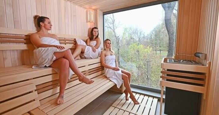 Privátní sauna ve wellness parku Lužánky Brno