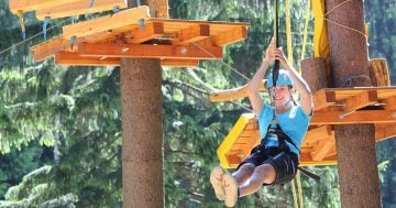 Lanový park Bedřichov – Adrenalinové dobrodružství v korunách stromů