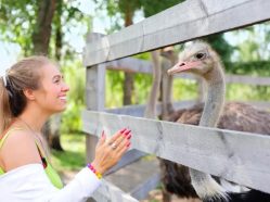 Farma Wenet Broumov - s výhledem na Broumovské skály