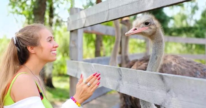 Farma Wenet Broumov - s výhledem na Broumovské skály