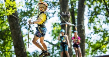 Lanový park Monínec – zábava ve výškách pro děti od 140 cm