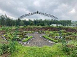 Pastvina Šumava - jedlý park a minizoo