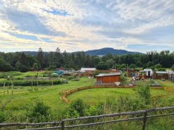 Pastvina Šumava - jedlý park a minizoo