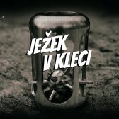 Úniková hra - Ježek v kleci