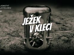 Úniková hra - Ježek v kleci